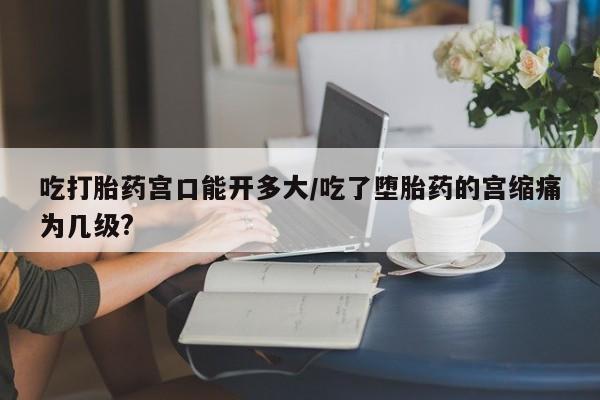 最便宜的打胎药的私人微信吃打胎药宫口能开多大/吃了堕胎药的宫缩痛为几级?