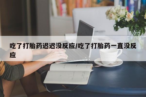 最便宜的打胎药的私人微信吃了打胎药迟迟没反应/吃了打胎药一直没反应