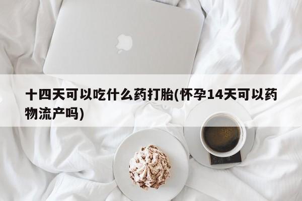 最便宜的打胎药的私人微信十四天可以吃什么药打胎(怀孕14天可以药物流产吗)